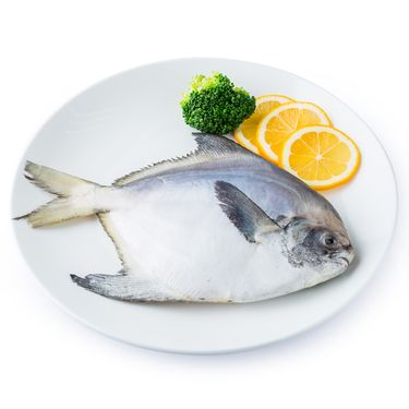 统牌 一统海鲜南海大鲳鱼400-500g/条 2条装