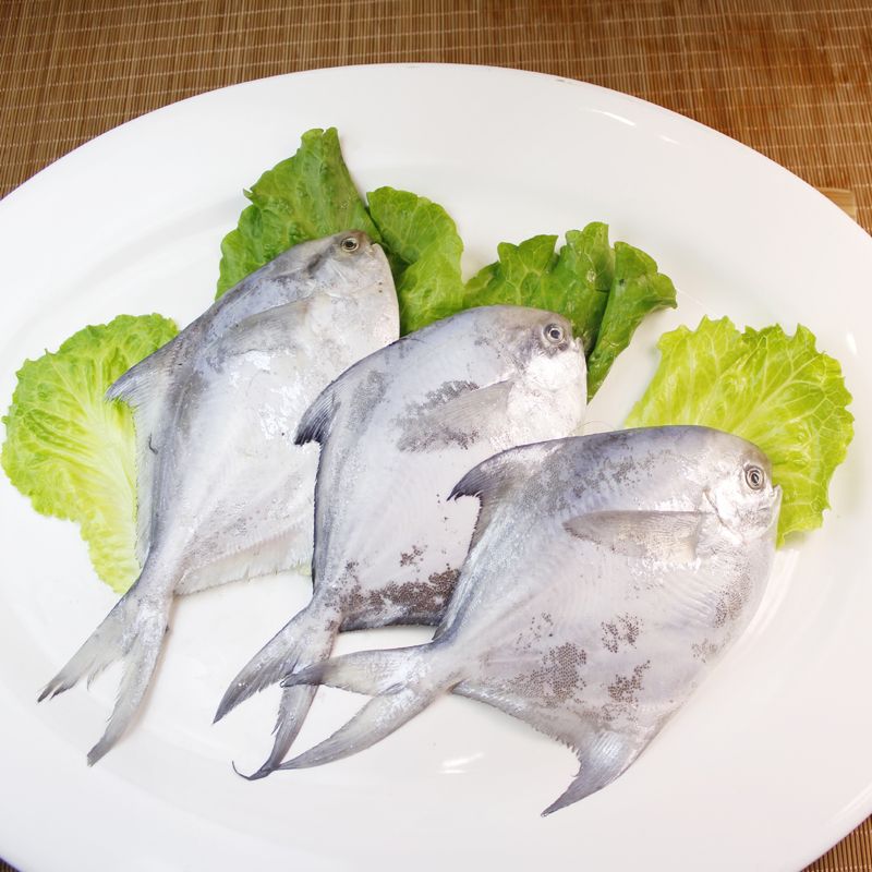 统牌 一统海鲜南海大鲳鱼(金鲳)400-500g/条 2条装