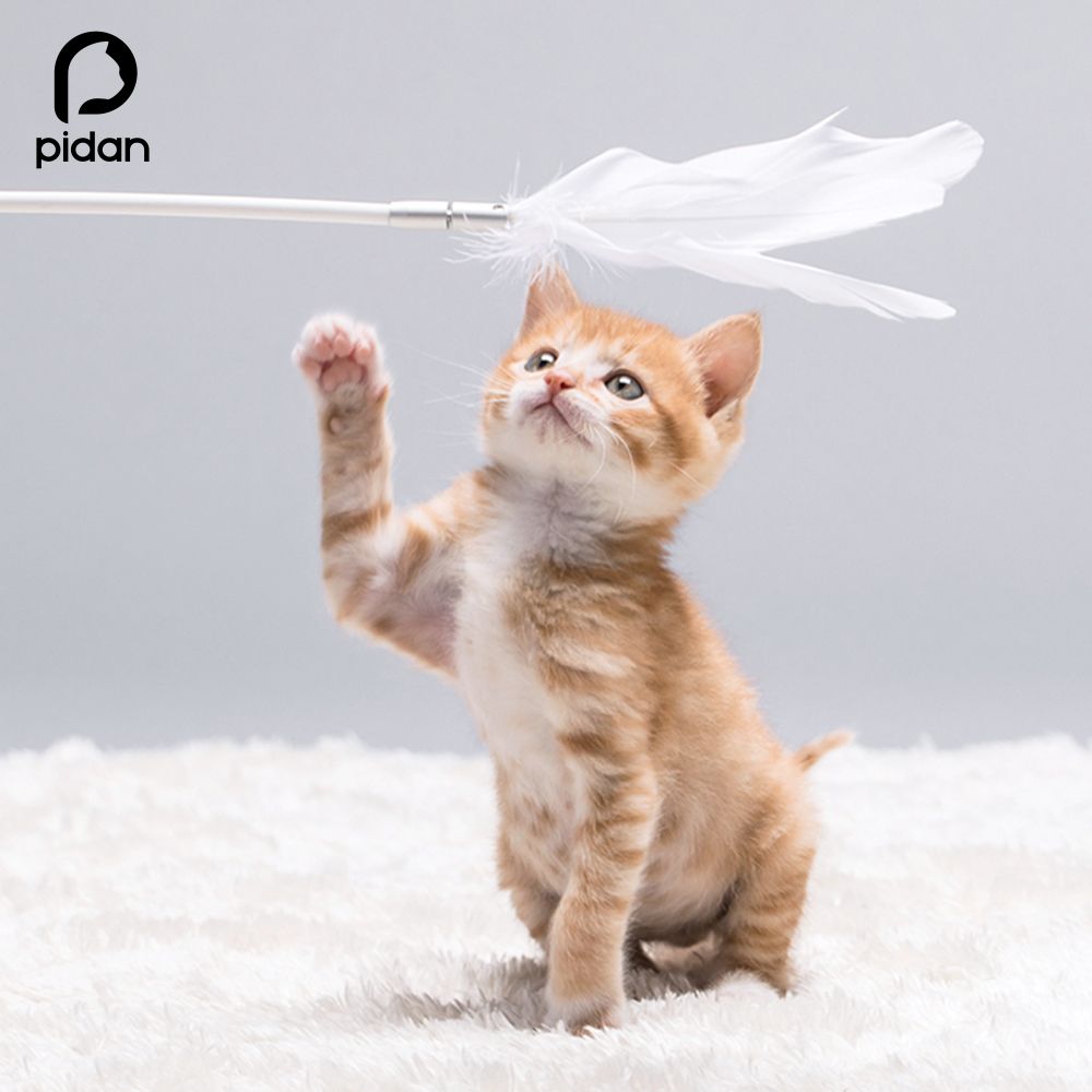 pidan 吸盘逗猫棒弹性猫玩具羽毛玩具猫咪用品配件可换宠物用品