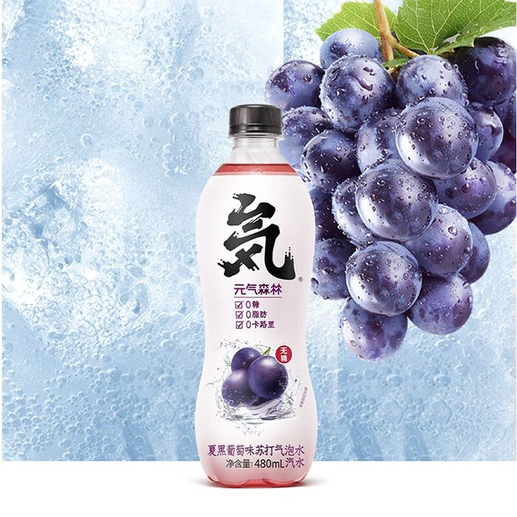 元气森林 夏黑葡萄味 无糖无热量苏打气泡水480ml*2瓶【积分兑换】