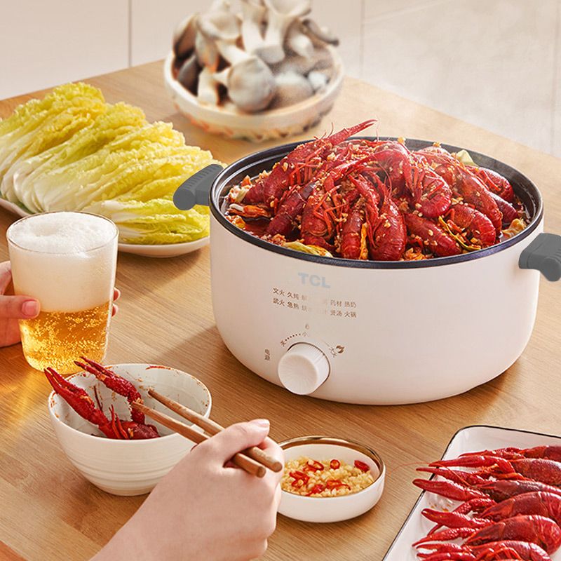 Zozu TCL【煲煮焖炖 多位一体锅】电火锅TH-JM1640 BD100