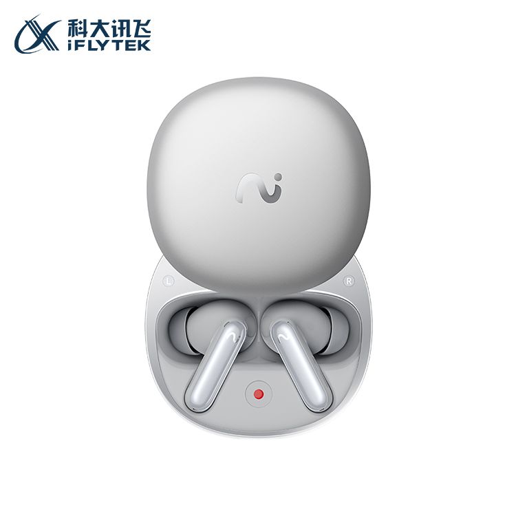 iFLYTEK/科大讯飞 科大讯飞录音降噪会议耳机Pro2 一键闪录 AI会议助理 同传翻译 主动降噪苹果华为通用【旗舰新款】