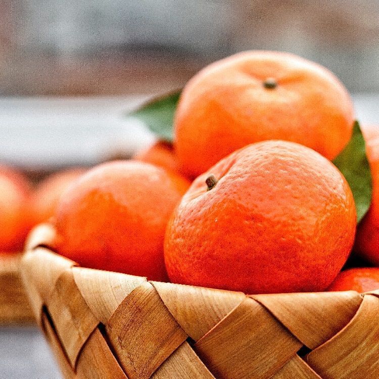 琼园山庄 环江月亮庄沃柑5kg/箱 蜜汁甜香（顺丰包邮，微信同号：15708418466，2月13日物流停运、24日恢复物流）